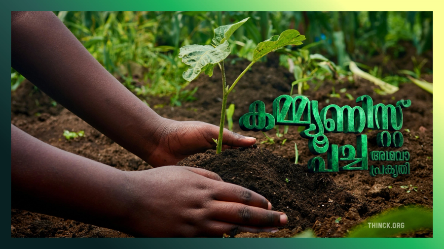വനവൽക്കരണത്തിലൂടെയും ശാസ്ത്രീയ ഫലവൃക്ഷ കൃഷിയിലൂടെയും ഹരിതാഭമായ നാളേക്ക് വേണ്ടി മണ്ണൊരുക്കാം: കേരളത്തിലെ കർഷകർക്കും പരിസ്ഥിതി സ്നേഹികൾക്കുമായി ജൂൺ മാസത്തെ മികച്ച നടീൽ രീതികളും വായു ശുദ്ധീകരണ മരങ്ങളും ഉൾപ്പെടുത്തി തയ്യാറാക്കിയ ഒരു സമഗ്ര ഗൈഡ്.